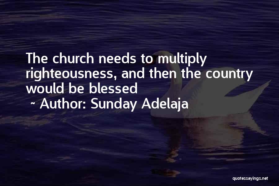 Sunday Adelaja Quotes: The Church Needs To Multiply Righteousness, And Then The Country Would Be Blessed