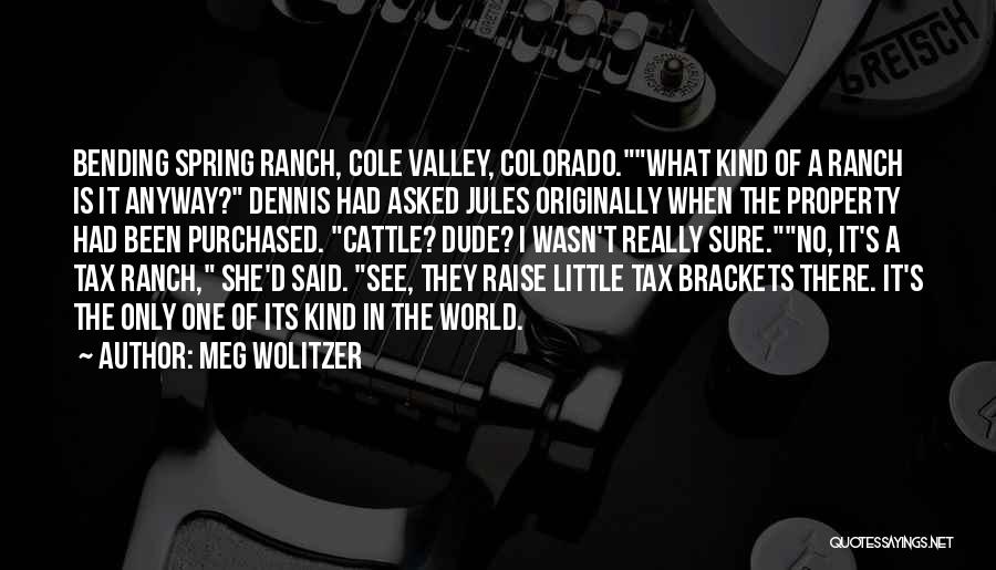 Meg Wolitzer Quotes: Bending Spring Ranch, Cole Valley, Colorado.what Kind Of A Ranch Is It Anyway? Dennis Had Asked Jules Originally When The