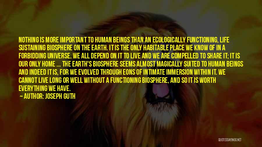 Joseph Guth Quotes: Nothing Is More Important To Human Beings Than An Ecologically Functioning, Life Sustaining Biosphere On The Earth. It Is The