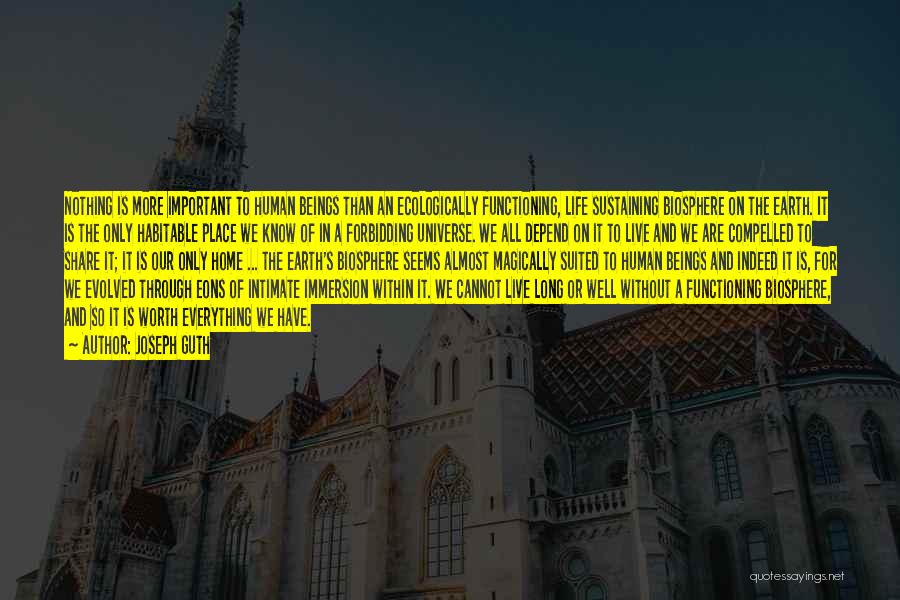 Joseph Guth Quotes: Nothing Is More Important To Human Beings Than An Ecologically Functioning, Life Sustaining Biosphere On The Earth. It Is The