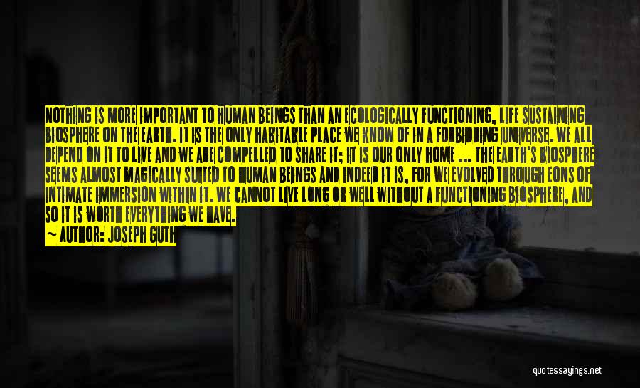 Joseph Guth Quotes: Nothing Is More Important To Human Beings Than An Ecologically Functioning, Life Sustaining Biosphere On The Earth. It Is The