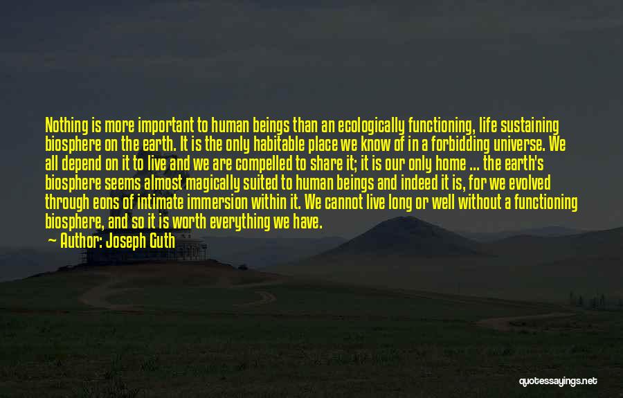 Joseph Guth Quotes: Nothing Is More Important To Human Beings Than An Ecologically Functioning, Life Sustaining Biosphere On The Earth. It Is The