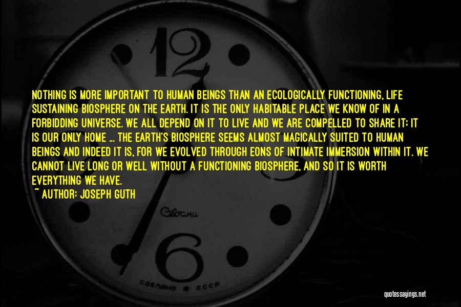 Joseph Guth Quotes: Nothing Is More Important To Human Beings Than An Ecologically Functioning, Life Sustaining Biosphere On The Earth. It Is The