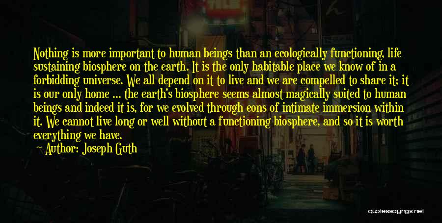 Joseph Guth Quotes: Nothing Is More Important To Human Beings Than An Ecologically Functioning, Life Sustaining Biosphere On The Earth. It Is The