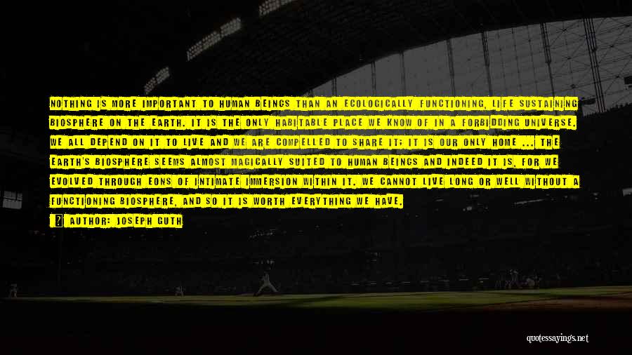 Joseph Guth Quotes: Nothing Is More Important To Human Beings Than An Ecologically Functioning, Life Sustaining Biosphere On The Earth. It Is The