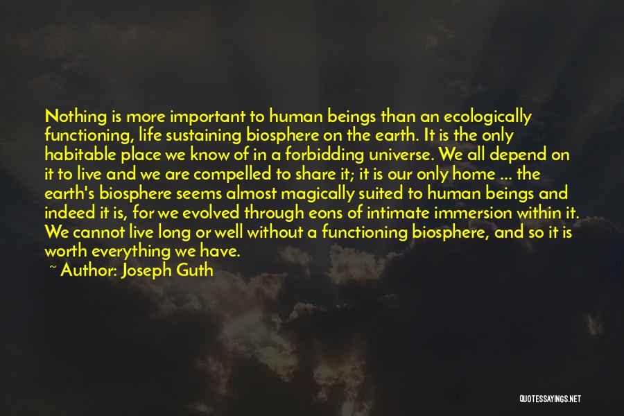 Joseph Guth Quotes: Nothing Is More Important To Human Beings Than An Ecologically Functioning, Life Sustaining Biosphere On The Earth. It Is The