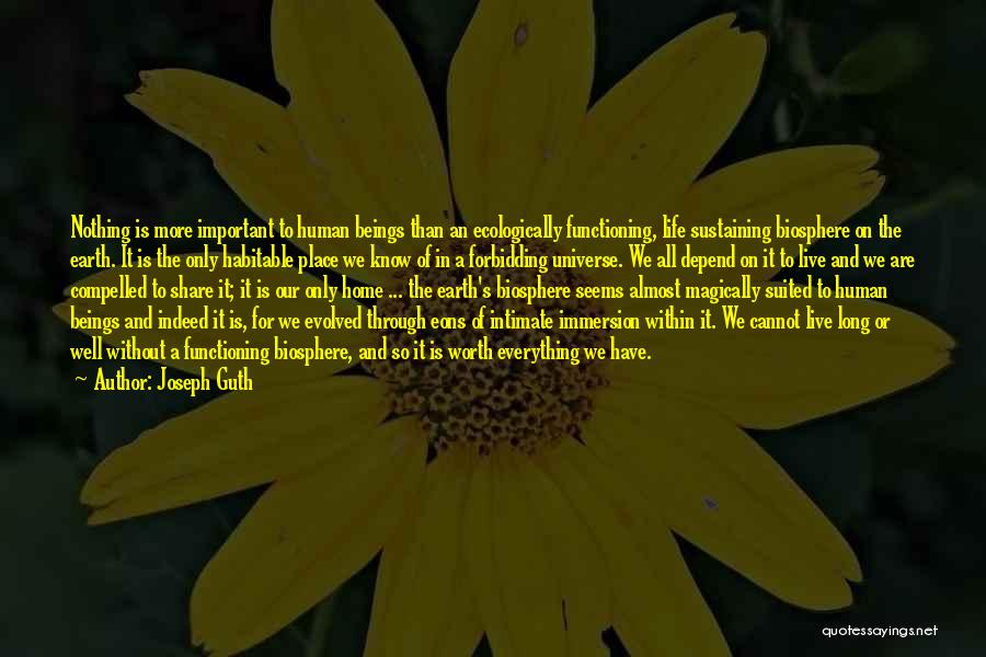 Joseph Guth Quotes: Nothing Is More Important To Human Beings Than An Ecologically Functioning, Life Sustaining Biosphere On The Earth. It Is The