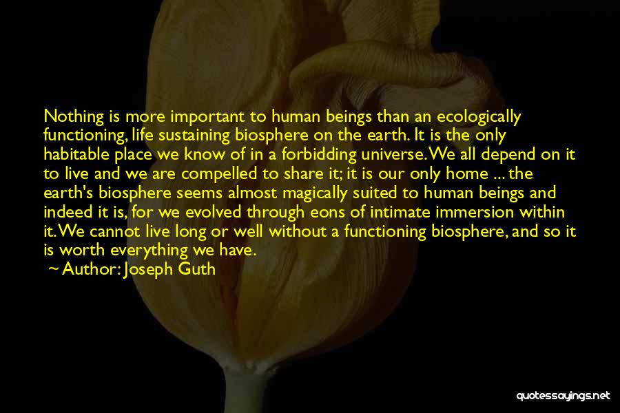 Joseph Guth Quotes: Nothing Is More Important To Human Beings Than An Ecologically Functioning, Life Sustaining Biosphere On The Earth. It Is The