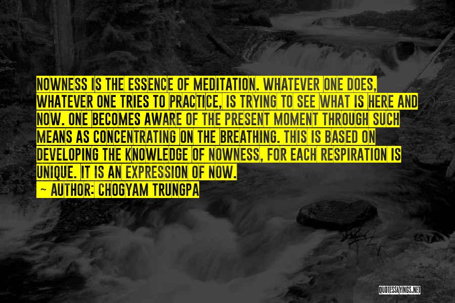 Chogyam Trungpa Quotes: Nowness Is The Essence Of Meditation. Whatever One Does, Whatever One Tries To Practice, Is Trying To See What Is