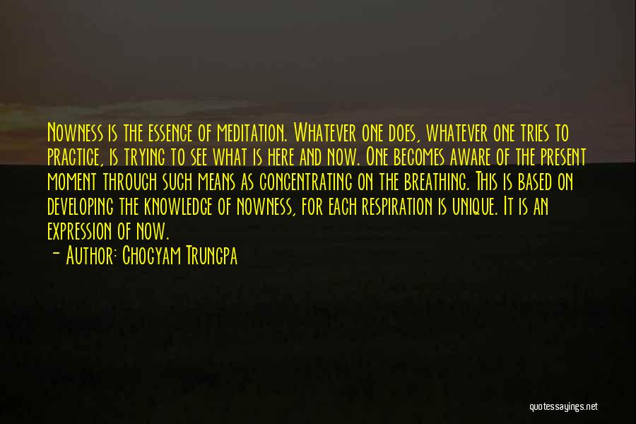 Chogyam Trungpa Quotes: Nowness Is The Essence Of Meditation. Whatever One Does, Whatever One Tries To Practice, Is Trying To See What Is