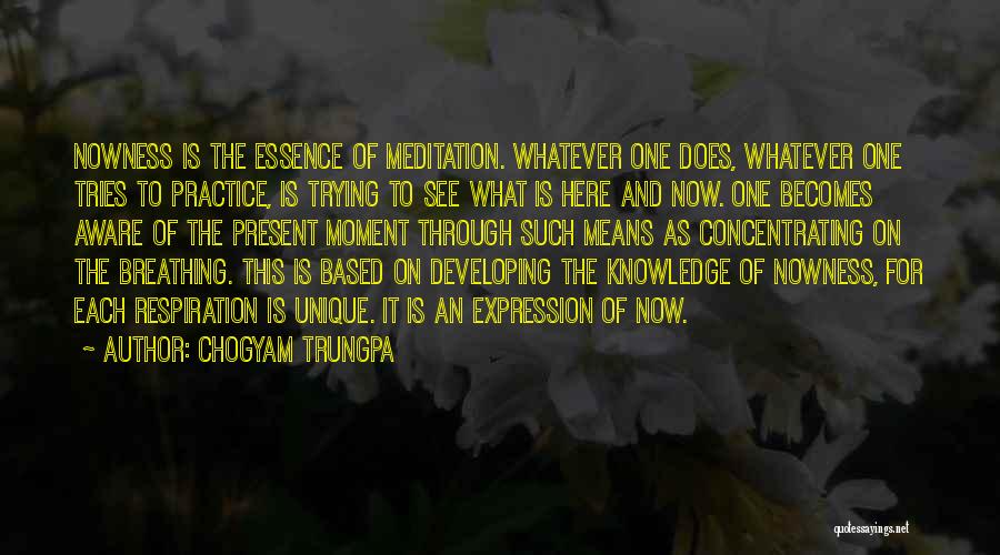 Chogyam Trungpa Quotes: Nowness Is The Essence Of Meditation. Whatever One Does, Whatever One Tries To Practice, Is Trying To See What Is