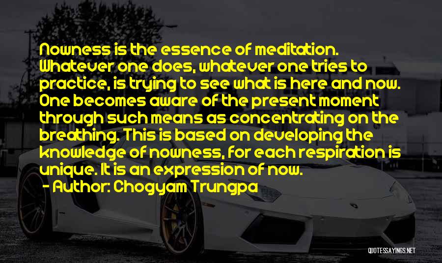 Chogyam Trungpa Quotes: Nowness Is The Essence Of Meditation. Whatever One Does, Whatever One Tries To Practice, Is Trying To See What Is
