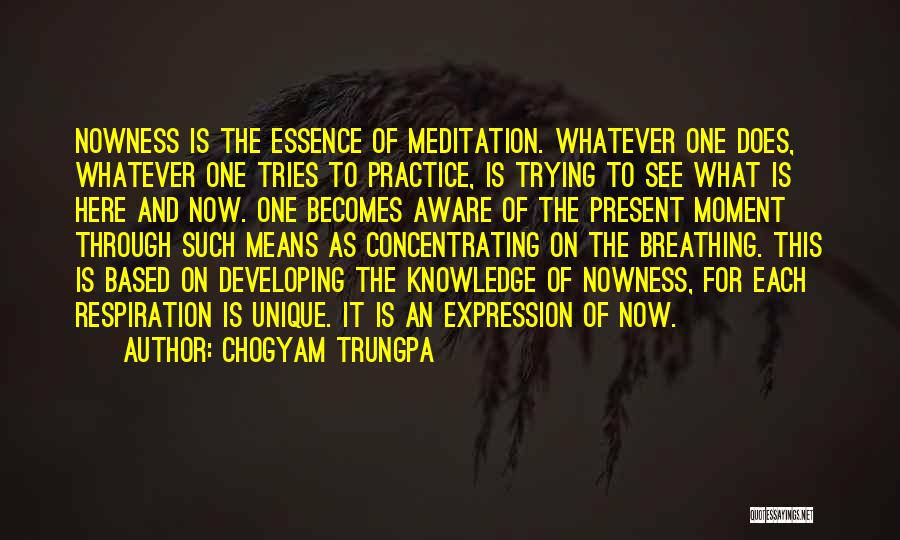 Chogyam Trungpa Quotes: Nowness Is The Essence Of Meditation. Whatever One Does, Whatever One Tries To Practice, Is Trying To See What Is