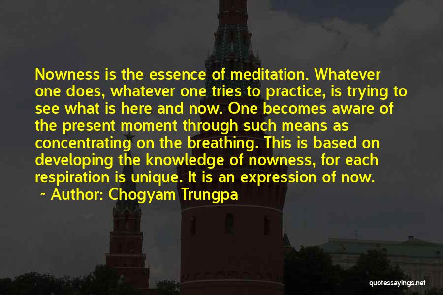 Chogyam Trungpa Quotes: Nowness Is The Essence Of Meditation. Whatever One Does, Whatever One Tries To Practice, Is Trying To See What Is