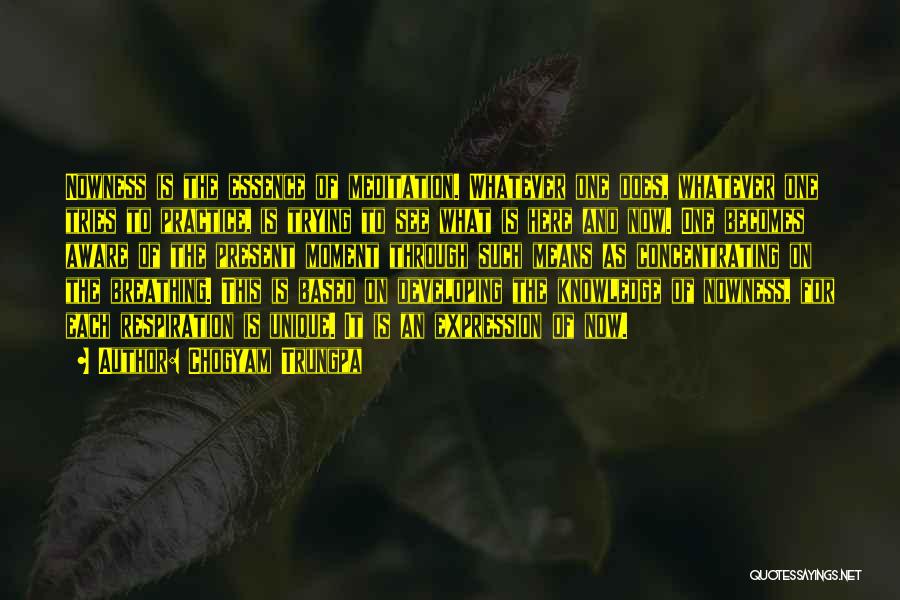 Chogyam Trungpa Quotes: Nowness Is The Essence Of Meditation. Whatever One Does, Whatever One Tries To Practice, Is Trying To See What Is