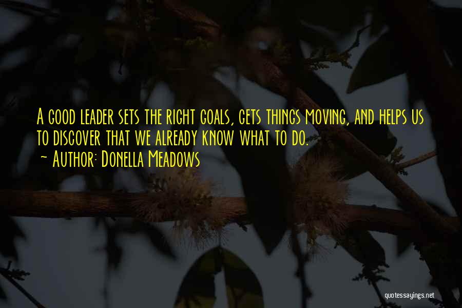Donella Meadows Quotes: A Good Leader Sets The Right Goals, Gets Things Moving, And Helps Us To Discover That We Already Know What