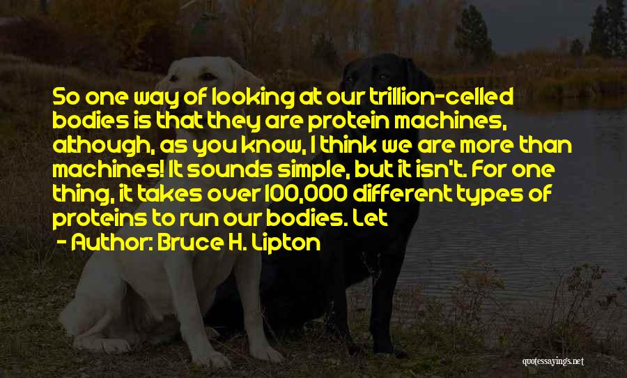 Bruce H. Lipton Quotes: So One Way Of Looking At Our Trillion-celled Bodies Is That They Are Protein Machines, Although, As You Know, I