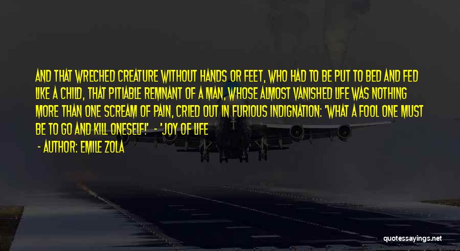 Emile Zola Quotes: And That Wreched Creature Without Hands Or Feet, Who Had To Be Put To Bed And Fed Like A Child,