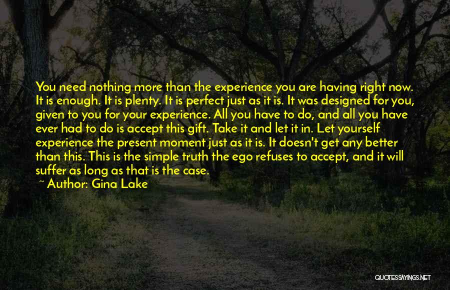 Gina Lake Quotes: You Need Nothing More Than The Experience You Are Having Right Now. It Is Enough. It Is Plenty. It Is