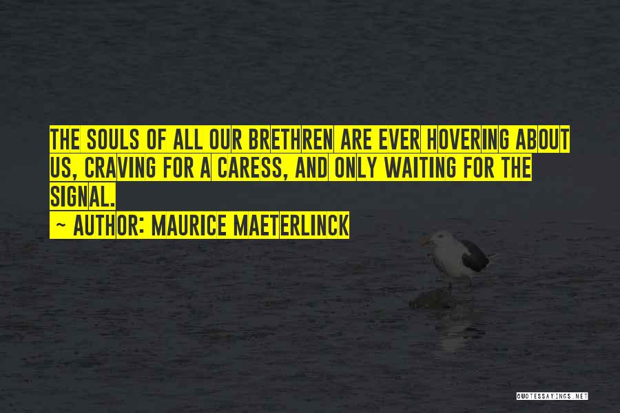 Maurice Maeterlinck Quotes: The Souls Of All Our Brethren Are Ever Hovering About Us, Craving For A Caress, And Only Waiting For The