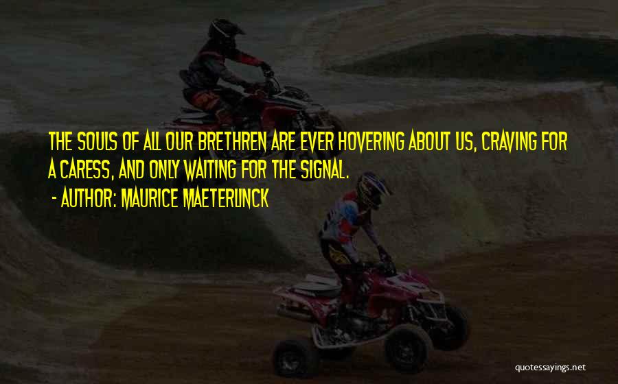 Maurice Maeterlinck Quotes: The Souls Of All Our Brethren Are Ever Hovering About Us, Craving For A Caress, And Only Waiting For The