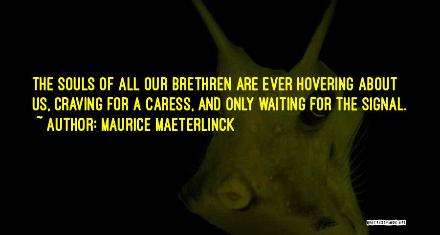 Maurice Maeterlinck Quotes: The Souls Of All Our Brethren Are Ever Hovering About Us, Craving For A Caress, And Only Waiting For The