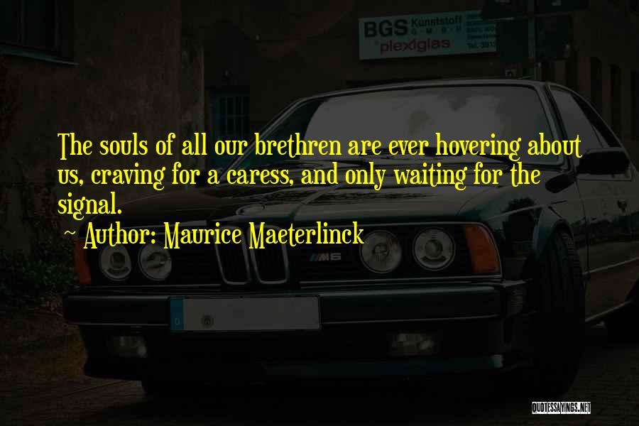 Maurice Maeterlinck Quotes: The Souls Of All Our Brethren Are Ever Hovering About Us, Craving For A Caress, And Only Waiting For The