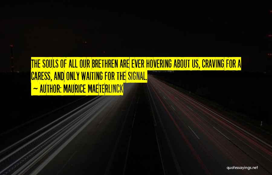 Maurice Maeterlinck Quotes: The Souls Of All Our Brethren Are Ever Hovering About Us, Craving For A Caress, And Only Waiting For The