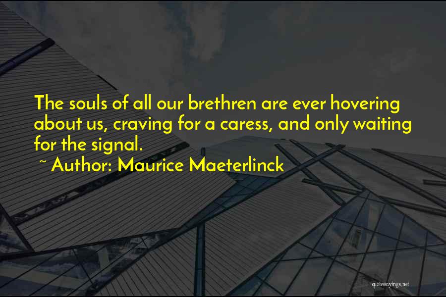 Maurice Maeterlinck Quotes: The Souls Of All Our Brethren Are Ever Hovering About Us, Craving For A Caress, And Only Waiting For The