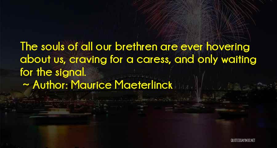 Maurice Maeterlinck Quotes: The Souls Of All Our Brethren Are Ever Hovering About Us, Craving For A Caress, And Only Waiting For The