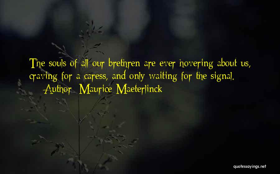Maurice Maeterlinck Quotes: The Souls Of All Our Brethren Are Ever Hovering About Us, Craving For A Caress, And Only Waiting For The