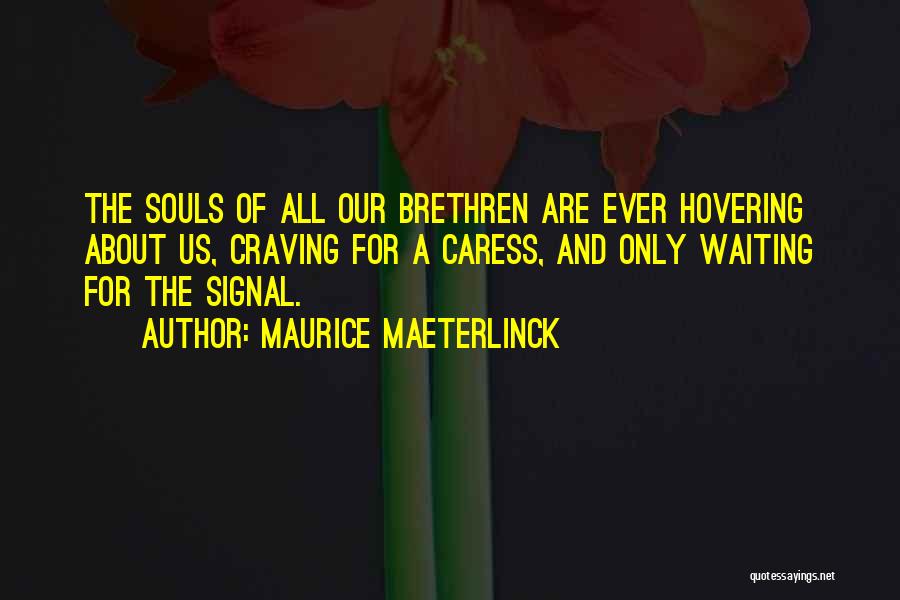 Maurice Maeterlinck Quotes: The Souls Of All Our Brethren Are Ever Hovering About Us, Craving For A Caress, And Only Waiting For The
