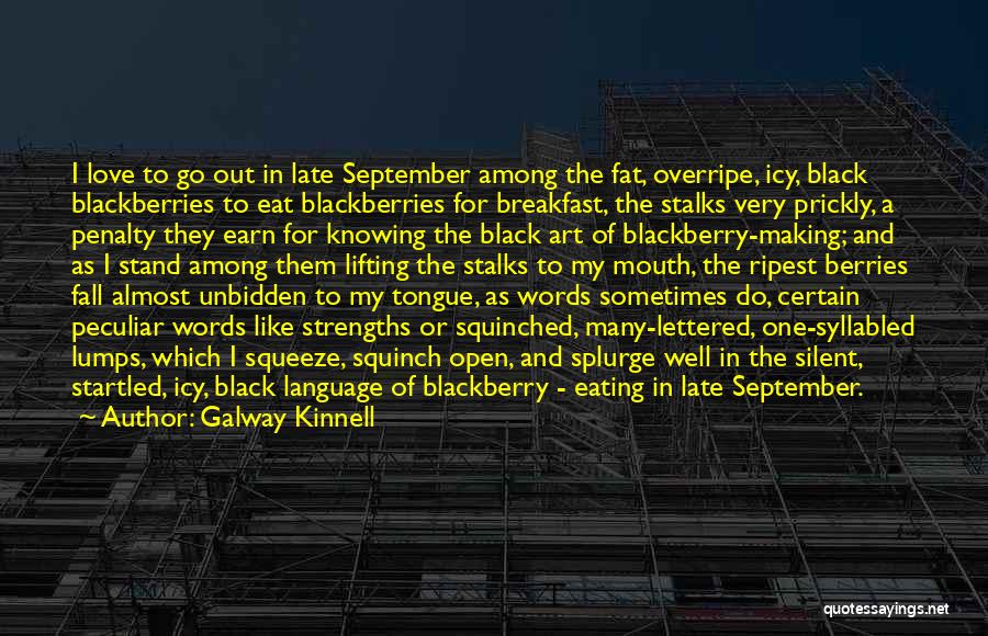 Galway Kinnell Quotes: I Love To Go Out In Late September Among The Fat, Overripe, Icy, Black Blackberries To Eat Blackberries For Breakfast,