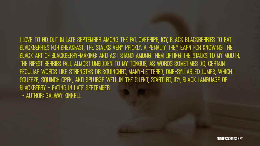 Galway Kinnell Quotes: I Love To Go Out In Late September Among The Fat, Overripe, Icy, Black Blackberries To Eat Blackberries For Breakfast,