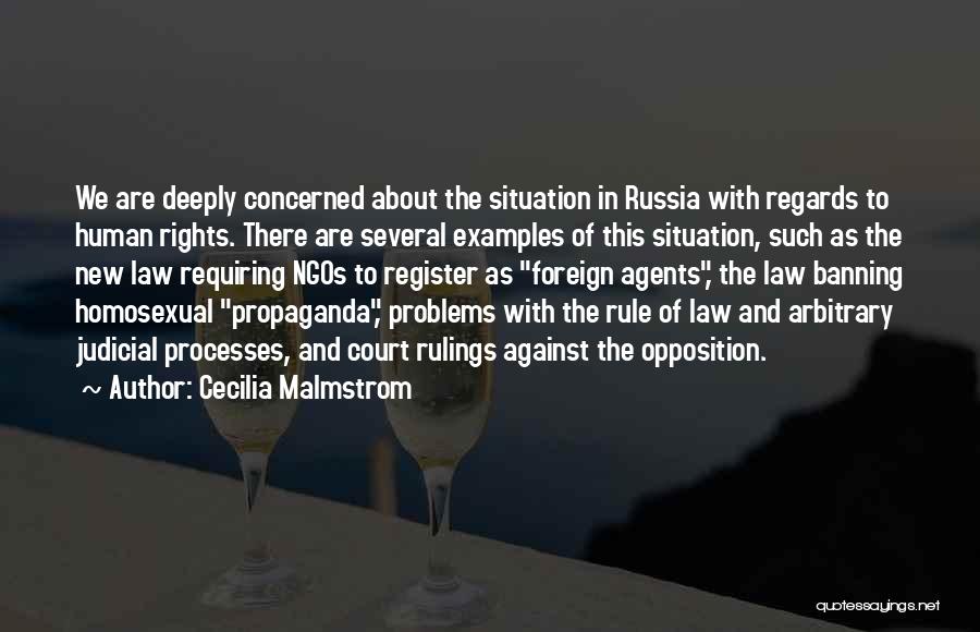 Cecilia Malmstrom Quotes: We Are Deeply Concerned About The Situation In Russia With Regards To Human Rights. There Are Several Examples Of This