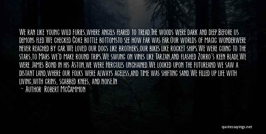 Robert McCammon Quotes: We Ran Like Young Wild Furies,where Angels Feared To Tread.the Woods Were Dark And Deep.before Us Demons Fled.we Checked Coke