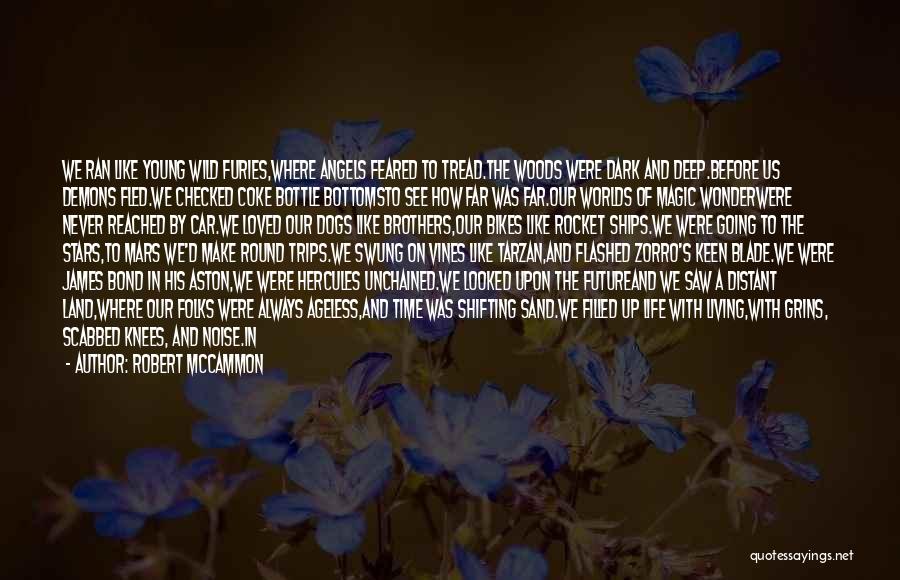 Robert McCammon Quotes: We Ran Like Young Wild Furies,where Angels Feared To Tread.the Woods Were Dark And Deep.before Us Demons Fled.we Checked Coke