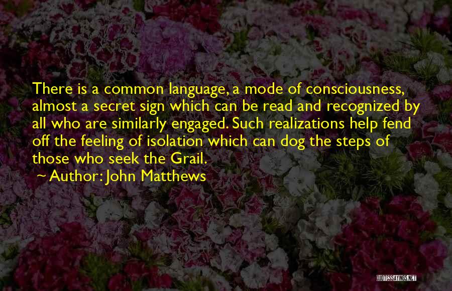 John Matthews Quotes: There Is A Common Language, A Mode Of Consciousness, Almost A Secret Sign Which Can Be Read And Recognized By