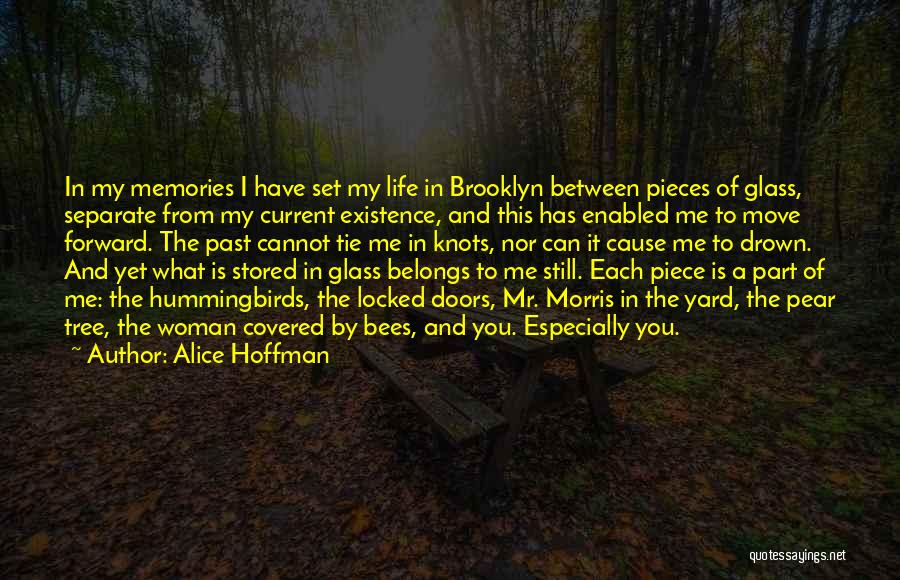 Alice Hoffman Quotes: In My Memories I Have Set My Life In Brooklyn Between Pieces Of Glass, Separate From My Current Existence, And