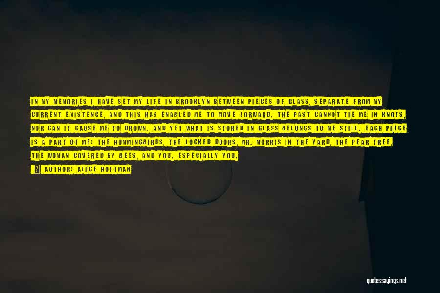 Alice Hoffman Quotes: In My Memories I Have Set My Life In Brooklyn Between Pieces Of Glass, Separate From My Current Existence, And