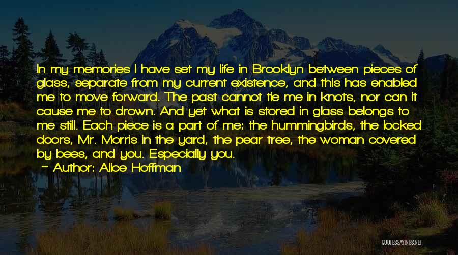 Alice Hoffman Quotes: In My Memories I Have Set My Life In Brooklyn Between Pieces Of Glass, Separate From My Current Existence, And