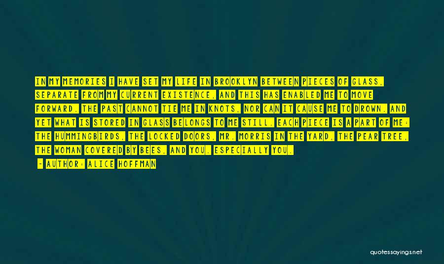 Alice Hoffman Quotes: In My Memories I Have Set My Life In Brooklyn Between Pieces Of Glass, Separate From My Current Existence, And