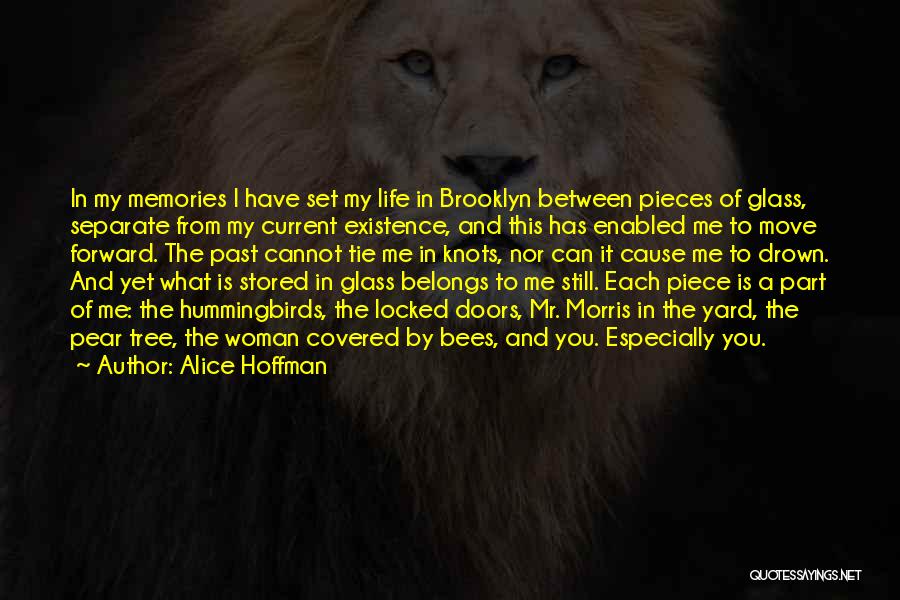 Alice Hoffman Quotes: In My Memories I Have Set My Life In Brooklyn Between Pieces Of Glass, Separate From My Current Existence, And