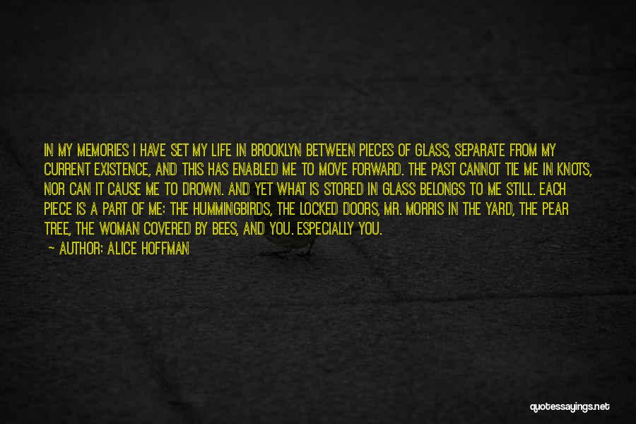 Alice Hoffman Quotes: In My Memories I Have Set My Life In Brooklyn Between Pieces Of Glass, Separate From My Current Existence, And