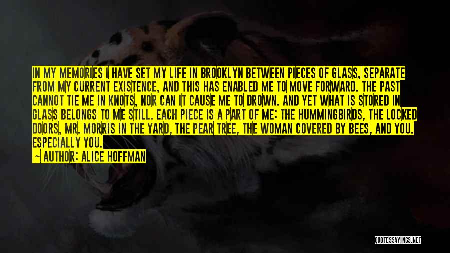 Alice Hoffman Quotes: In My Memories I Have Set My Life In Brooklyn Between Pieces Of Glass, Separate From My Current Existence, And