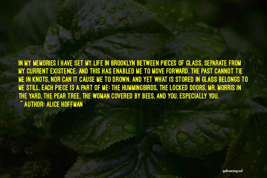 Alice Hoffman Quotes: In My Memories I Have Set My Life In Brooklyn Between Pieces Of Glass, Separate From My Current Existence, And