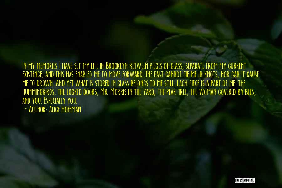 Alice Hoffman Quotes: In My Memories I Have Set My Life In Brooklyn Between Pieces Of Glass, Separate From My Current Existence, And