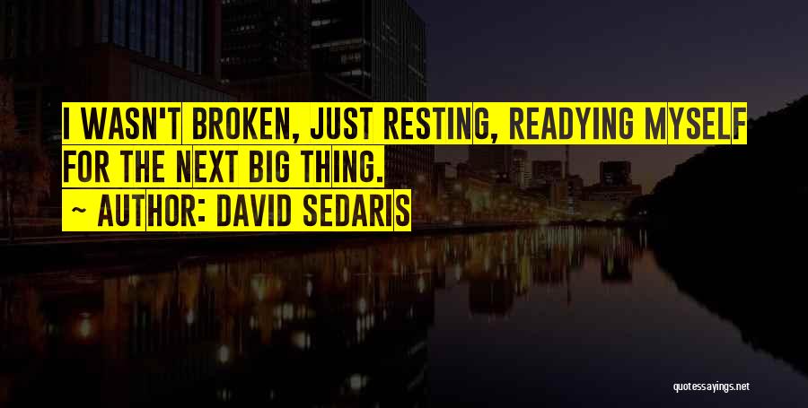 David Sedaris Quotes: I Wasn't Broken, Just Resting, Readying Myself For The Next Big Thing.