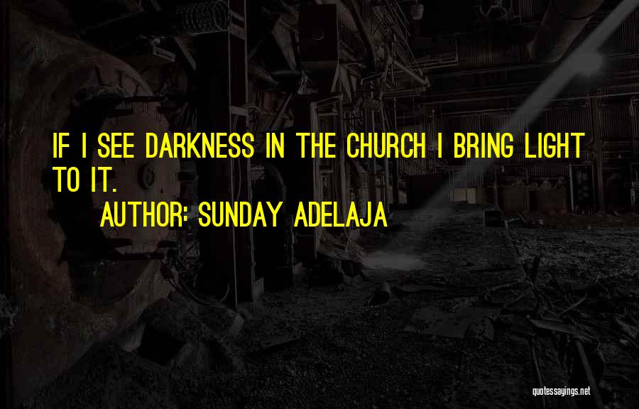 Sunday Adelaja Quotes: If I See Darkness In The Church I Bring Light To It.