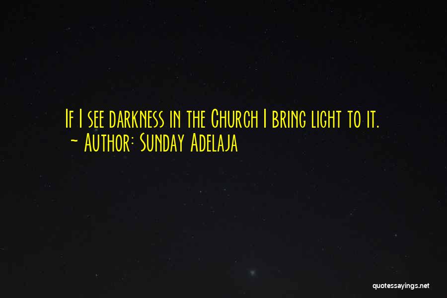 Sunday Adelaja Quotes: If I See Darkness In The Church I Bring Light To It.